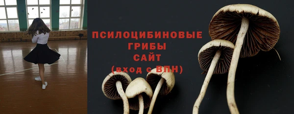 Альфа ПВП Покров