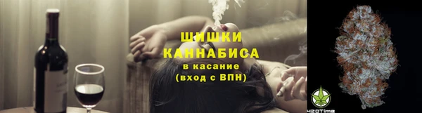 apvp Галич